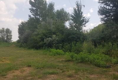 Splaiul Unirii-Pod Grigorescu , teren 2179 mp Splaiul Unirii-Pod Grigorescu , teren 2179 mp - 7