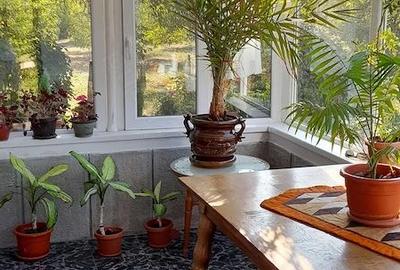 Casă cu 1 camere cu Teren 2215 Mp în Mislea - 2