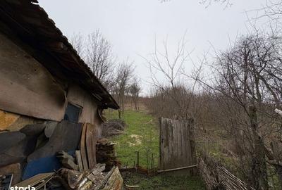 Teren de 2038 mp, în Ghercești - 8