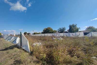 Gagu Dascalu teren ideal pentru investitie zona in dezvol... - 11