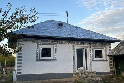 Casă cu 2 camere în Peceneaga - 7