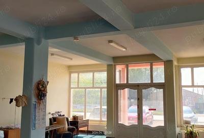 Cladire comerciala de vanzare Timi?oara - 2