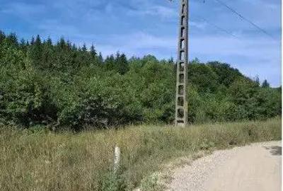 Teren extravilan Sotanga, ID: R2590381 - 6