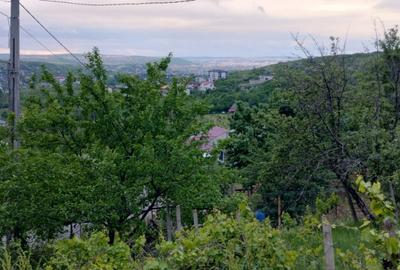 65000euro!!Bucium!Teren intravilan 1500mp,asfalt! 65000euro!!Bucium!Teren intravilan 1500mp,asfalt! - 3