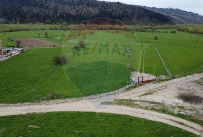 Teren agricol extravilan de 3157 mp, în Exterior Est - 20