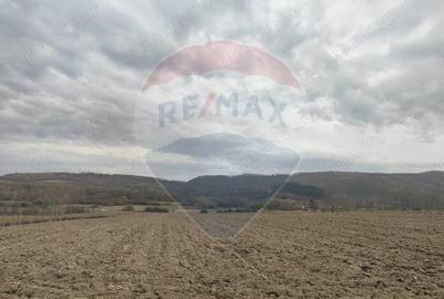 Teren de 11900 mp, în Fârdea