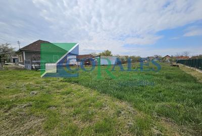 Teren Construcții intravilan de 1439 mp, în Moșnița Nouă