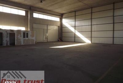 Spațiu comercial, de 430 mp, în Lugojului - 7