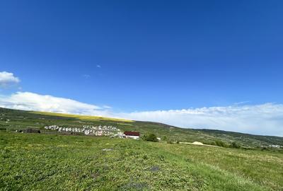 Teren de vanzare Valea Chintaului 1300mp front 24ml Teren de vanzare Valea Chintaului 1300mp front 24ml - 2