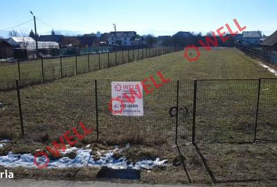 Spațiu comercial, în Lunca Calnicului - 2