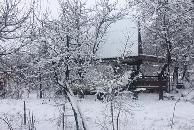 Teren de 1500 mp, în Salonta