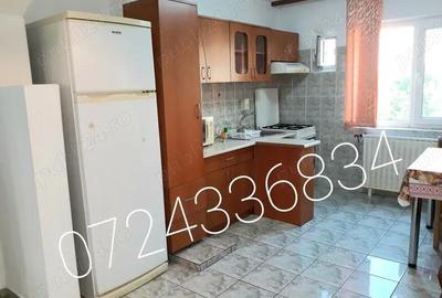 Apartament cu 2 camere decomandat, mobilat în Tei - 4