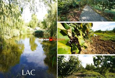 Spațiu comercial, de 1,055 mp, în Sâniob - 8