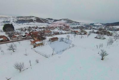 Casă cu 4 camere cu Teren 2000 Mp în Damiș - 32