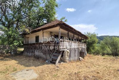 Proprietate in apropiere de complex turistic Mu?ete?ti - 18