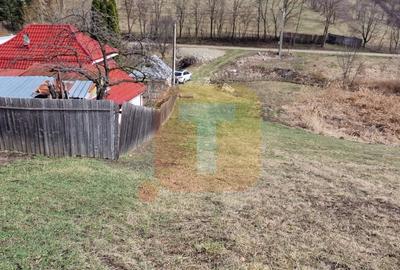 Teren intravilan de vânzare , 3600 mp – Piatra Neamț, zona Balaur - 8