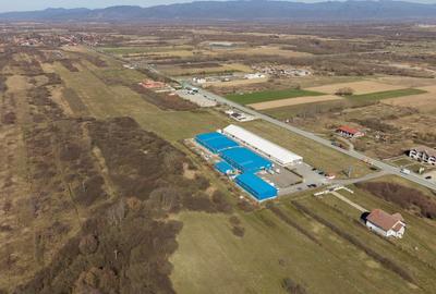 Teren agricol extravilan de 7194 mp, în Păltiniș - 14