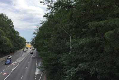 REL4000144 Teren DN1 - Padurea Petresti - 3