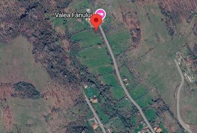 Teren de 2878 mp, în Tapia - 2
