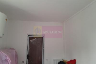 Casă cu 2 camere în Roșu - 8