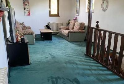 Vila si curte mare Soseaua Giurgiului - 11