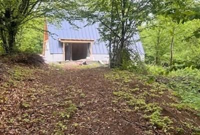 CHIUZBAIA 2CABANE cu teren de aprox. 70ari ! - 5