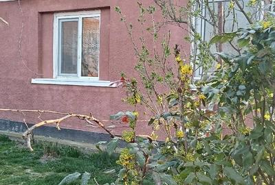 Casă cu Teren 223 Mp în Amați - 1