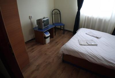 Hotel/Pensiune, de 10 mp, în Nicolae Bălcescu - 13