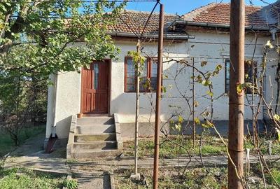 Casă cu 3 camere cu Teren 1500 Mp în Goicea - 5