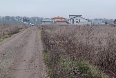 Teren Corbeanca- Strada Trei Lacuri - 7