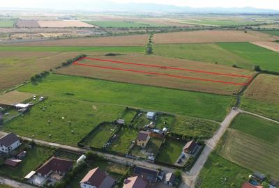 Teren 10.000 mp str. Lalelelor, Bod, Brasov pentru case - 3