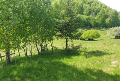 Teren de 1000 mp, în Dâmbovicioara - 7