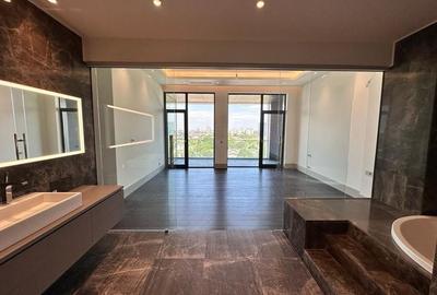 PENTHOUSE SPECTACULOS CU VEDERE DEASUPRA ORASULUI - 12