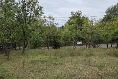 Teren de 1154 mp, în Cornu - 12
