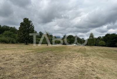 Teren intravilan 8000 mp cu anexa gospodareasca in Vistisoara - 3