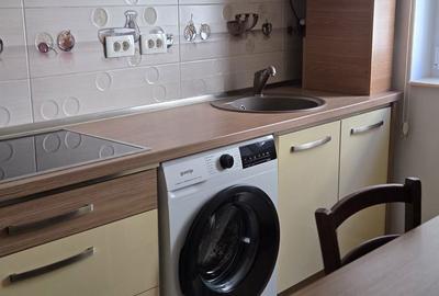 Apartament cu 2 camere semidecomandat în Cetate - 7