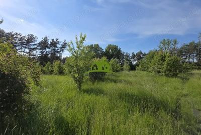Teren de 1380 mp, în Goranu - 10
