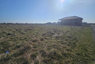 Teren Construcții intravilan de 660 mp, în Șag - 2