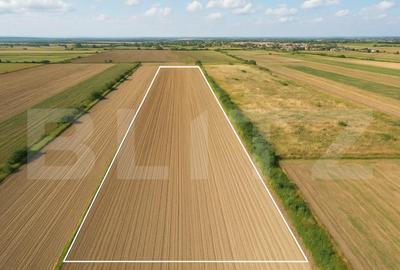 Teren de vanzare 11.600 mp Stupini - 1