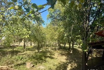 Casă cu 5 camere în Central - 7