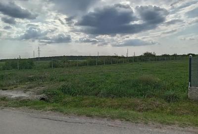 Teren de 1000 mp, în Priseaca