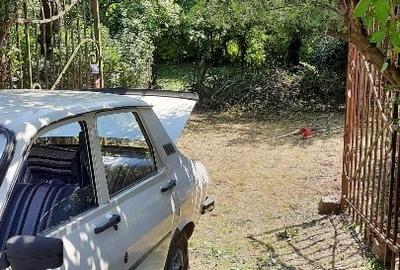 Teren intravilan, Carei, Gradina Viilor nr.79 - 3