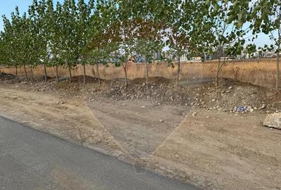 Teren de 9400 mp, în Theodor Pallady - 4