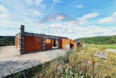 Teren 3,219mp Hidiselu de Sus / Strada Principala - 3