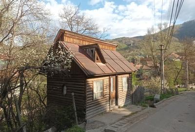 Casă cu 1 camere în Găujani - 1