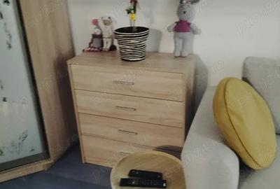 Apartament cu 2 camere decomandat, mobilat în Drumul Taberei - 5