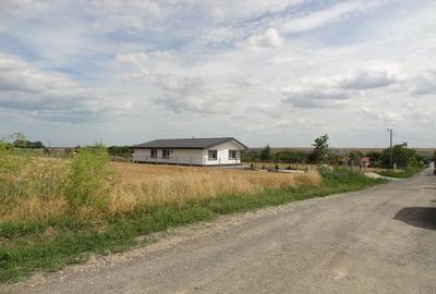 Valu lui Traian, Teren intravilan 10.000mp langa Crama Gabai - 4