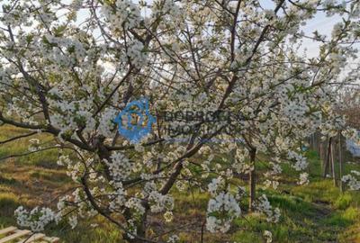 Teren de 608 mp, în Păcii - 4