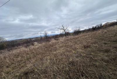 Teren intravilan, 1000 mp, Daia Noua - 5