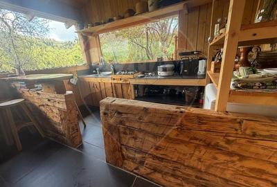 Casă cu 14 camere cu Teren 62330 Mp în Horea - 19